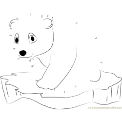 Little Polar Bear on Ice Surface Dot to Dot Worksheet
