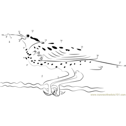 Western Meadowlark with Food Dot to Dot Worksheet