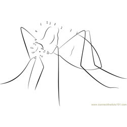 Aedes Aegypti Doggett Dot to Dot Worksheet