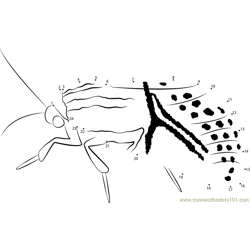 Cecropia Moth Dot to Dot Worksheet