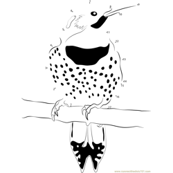 I Love These Northern Flickers Dot to Dot Worksheet