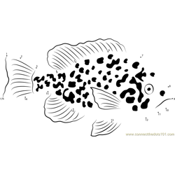 Sunfish Dot to Dot Worksheet