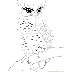 Spot Bellied Eagle Owl Dot to Dot Worksheet