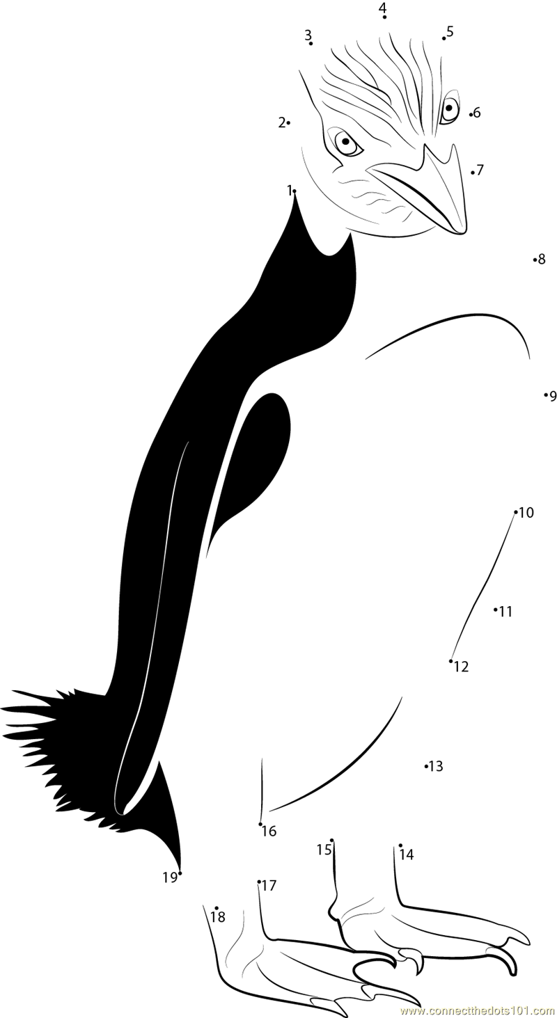 yellow eyed penguin coloring pages - photo #27