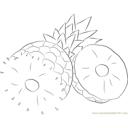 Pineapples Cut Dot to Dot Worksheet