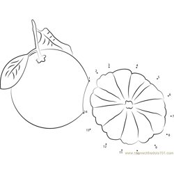 Pomelo Cut in Red Dot to Dot Worksheet
