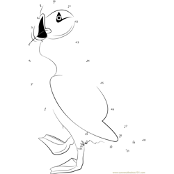 Arctic Puffin Bird Dot to Dot Worksheet
