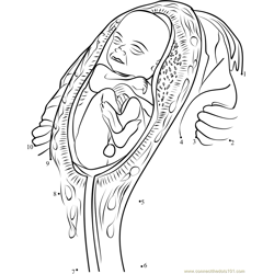 Damien Hirst Unveils Fourteen Massive Fetus Sculptures Dot to Dot Worksheet