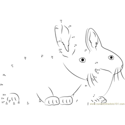 Two Rabbits Together Dot to Dot Worksheet