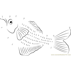 Rainbowfish Underwater Dot to Dot Worksheet