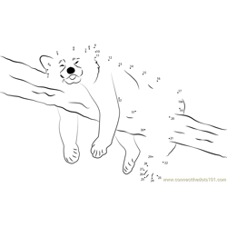 Panda Sleeping On Tree Dot to Dot Worksheet