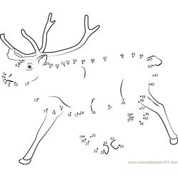 Reindeer Running Dot to Dot Worksheet