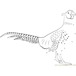 Ring-necked Pheasant Standing Dot to Dot Worksheet