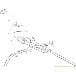 Scissor-Tailed Flycatcher At Tampico, Mexico Dot to Dot Worksheet
