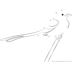 Scissor-Tailed Flycatcher, Roma, TX Dot to Dot Worksheet