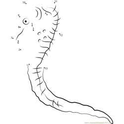 Tank-Bred Colored Seahorse Dot to Dot Worksheet