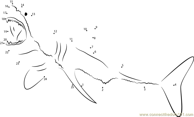 Great White Shark Diving Dot To Dot Printable Worksheet Connect The Dots