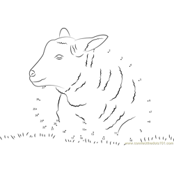 Lamb Sheep Dot to Dot Worksheet
