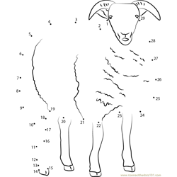 Sheep Dot to Dot Worksheet