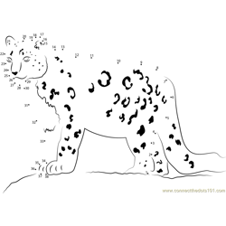 Snow Leopard Looking His Food Dot to Dot Worksheet