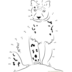 Snow Leopard Looking at Me Dot to Dot Worksheet