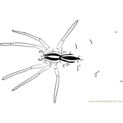Wolf Spiders Dot to Dot Worksheet
