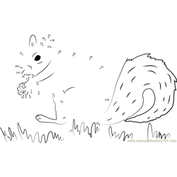 Squirrel Find His Food Dot to Dot Worksheet
