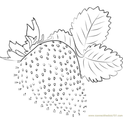 Strawberry with leaf Dot to Dot Worksheet