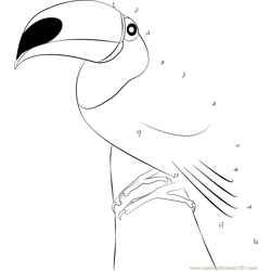 Beautiful Toucan Bird Dot to Dot Worksheet
