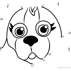 Pet Parade Beagle Puppy Face Dot to Dot Worksheet