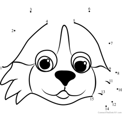 Pet Parade Bernese Puppy Face Dot to Dot Worksheet
