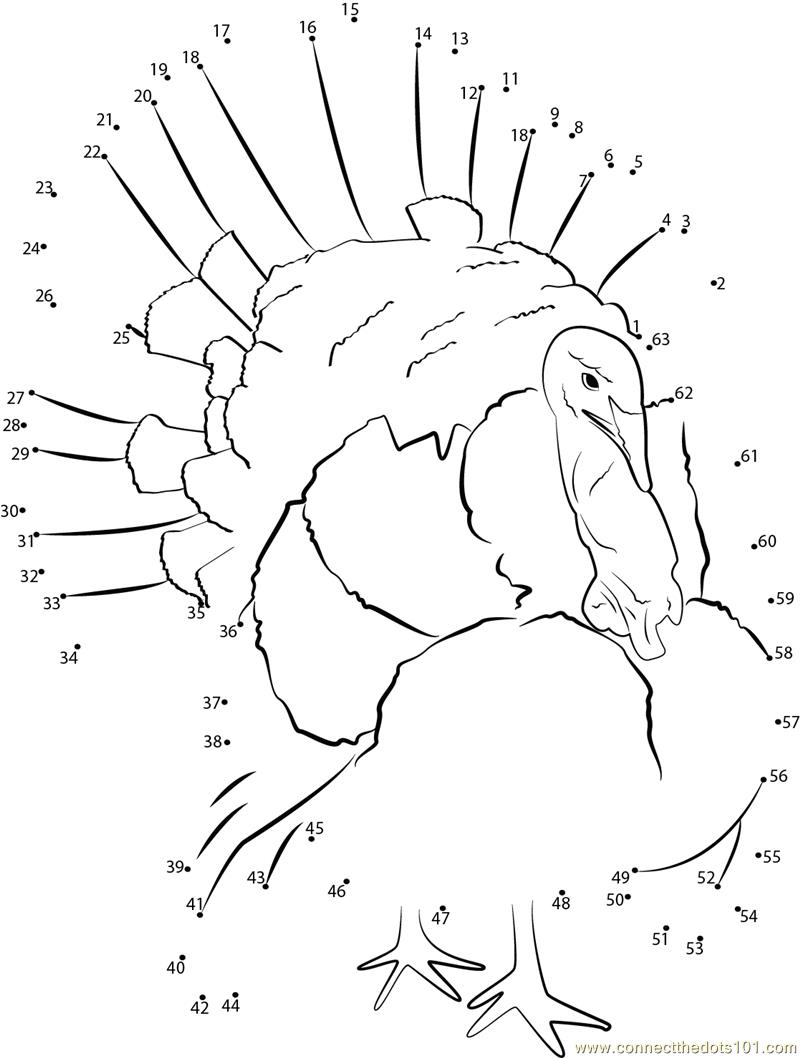 exotic-bird-turkey-dot-to-dot-printable-worksheet-connect-the-dots