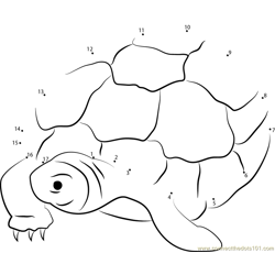Nervous Turtle Dot to Dot Worksheet