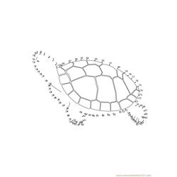 Swimming Turtle Dot to Dot Worksheet