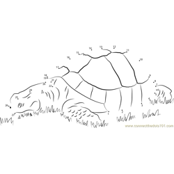 Turtle in Grass Dot to Dot Worksheet