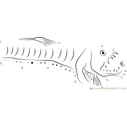 Head of a Pacific Viperfish Dot to Dot Worksheet