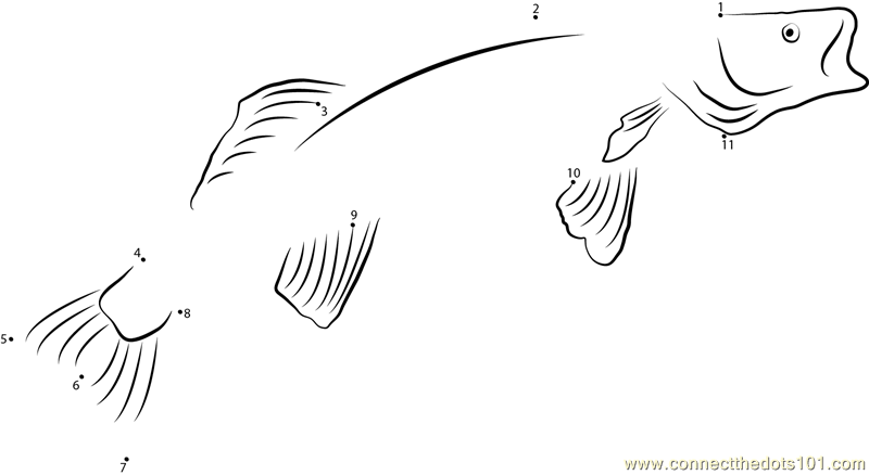 walleye coloring pages - photo #27