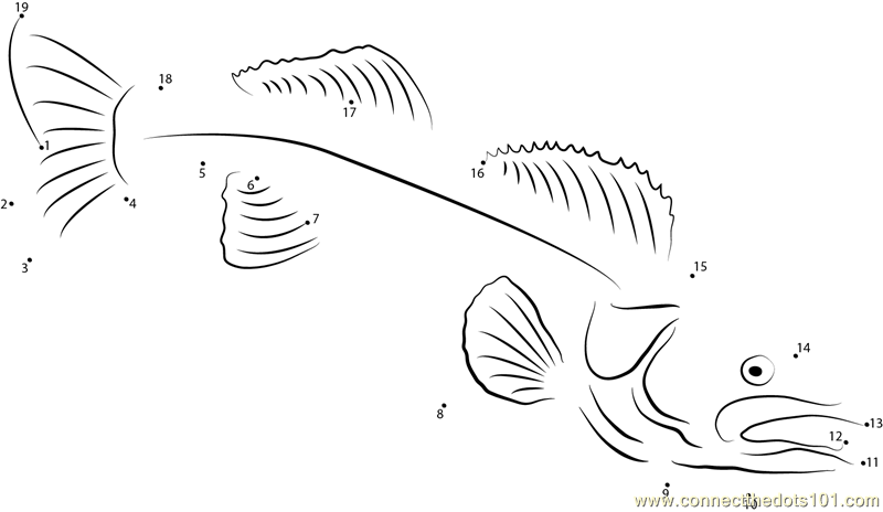 walleye coloring pages - photo #6