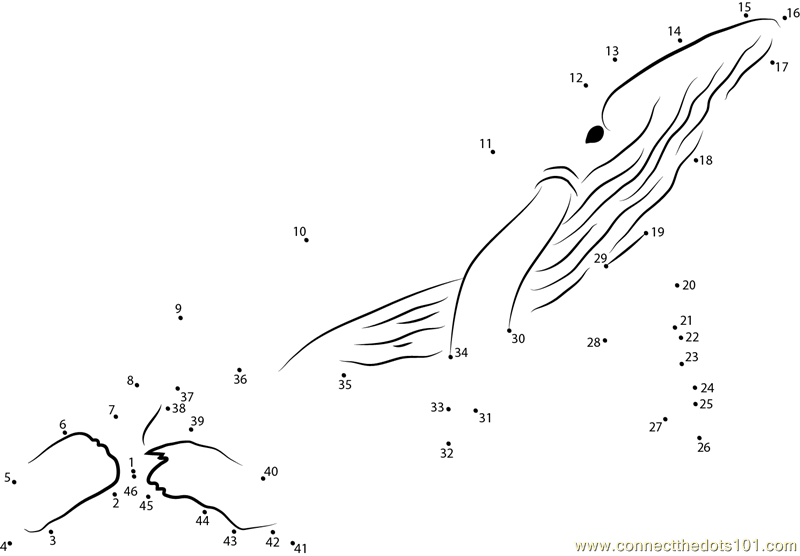 Whales Dot To Dot Printable Worksheet Connect The Dots