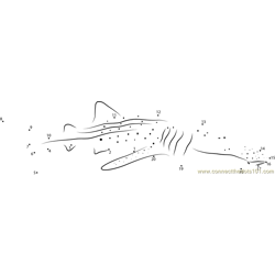 Whale Shark Diver Dot to Dot Worksheet