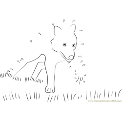 Wolf Running in Grass Dot to Dot Worksheet