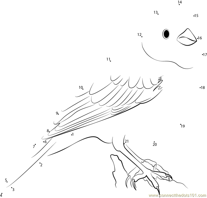 yellowhammer bird coloring pages - photo #46