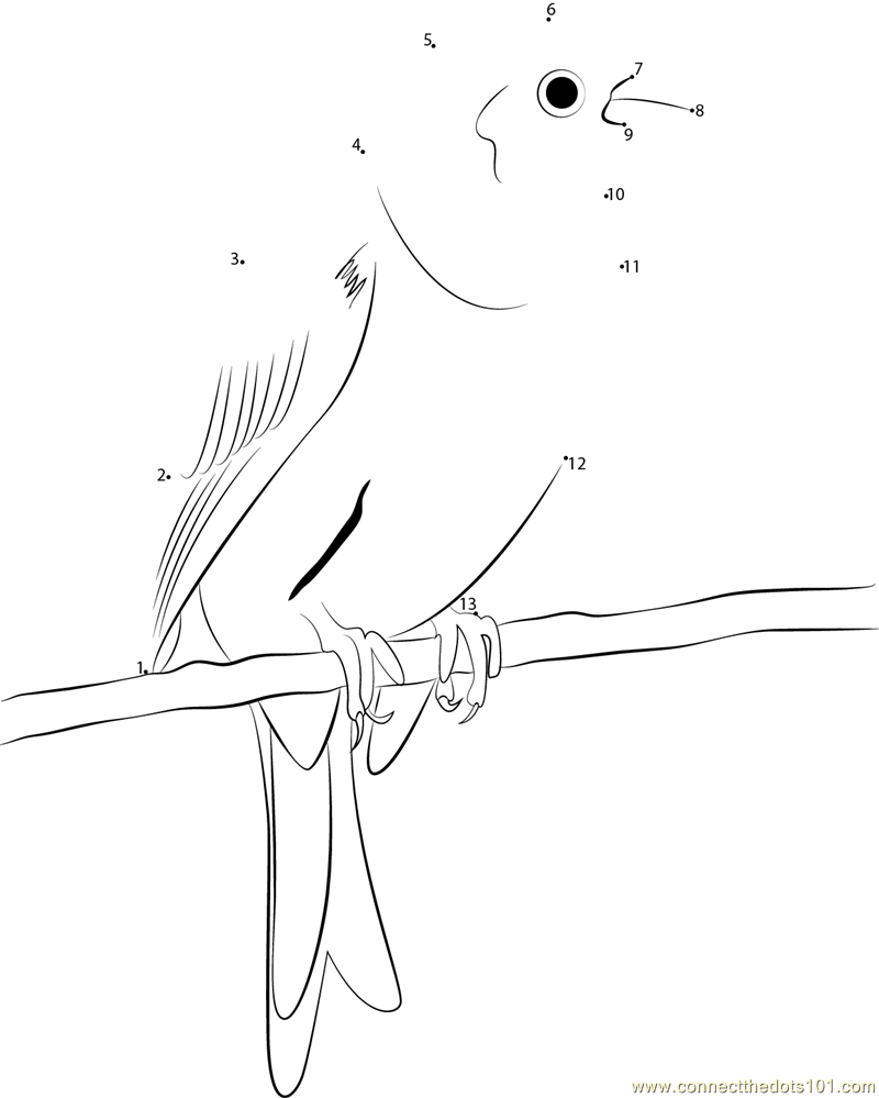 yellowhammer bird coloring pages - photo #49
