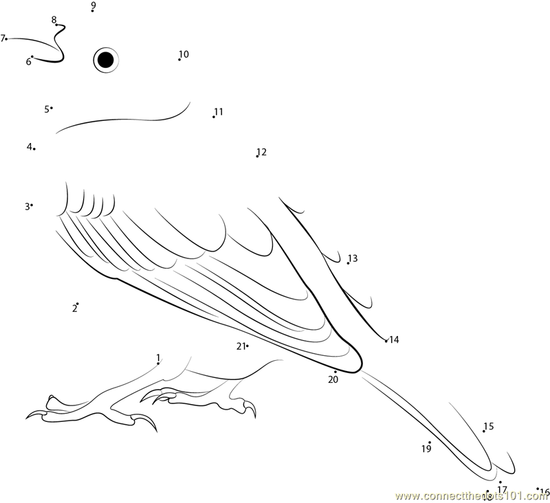 Yellowhammer Bird Coloring Page Coloring Pages