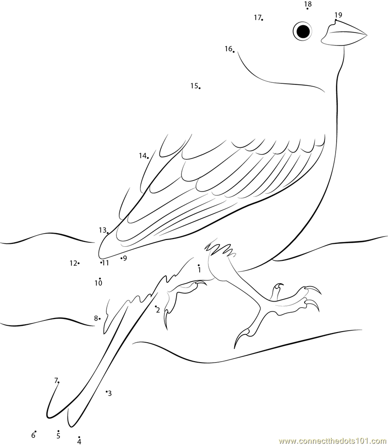 yellowhammer bird coloring pages - photo #37