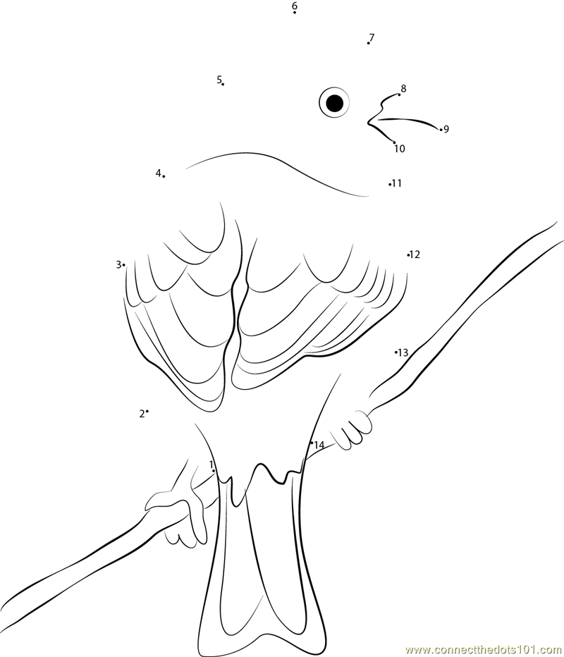 yellowhammer bird coloring pages - photo #19