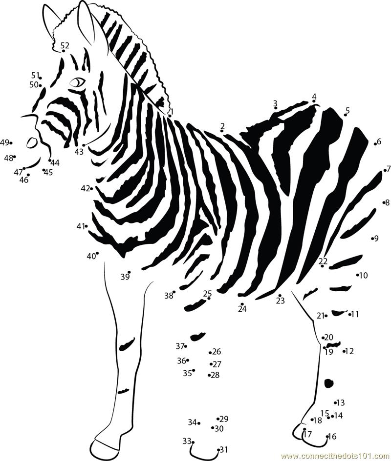 Young Zebra dot to dot printable worksheet Connect The Dots