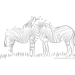 Two Zebras in Love Dot to Dot Worksheet