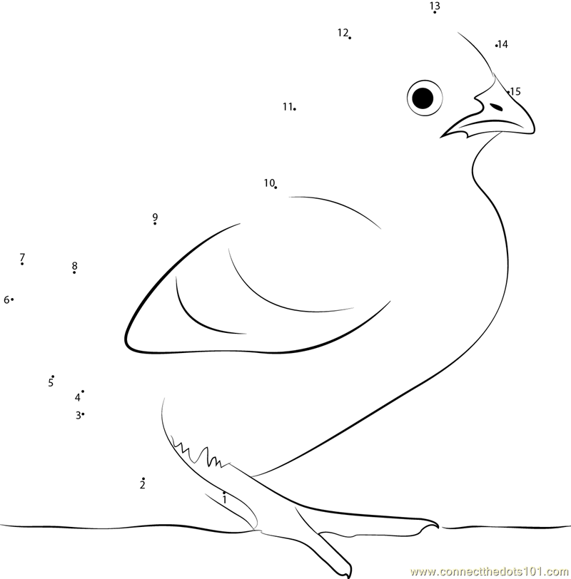 Connect the Dots Cute Chicks (Birds > Chicks) - dot to dots for kids