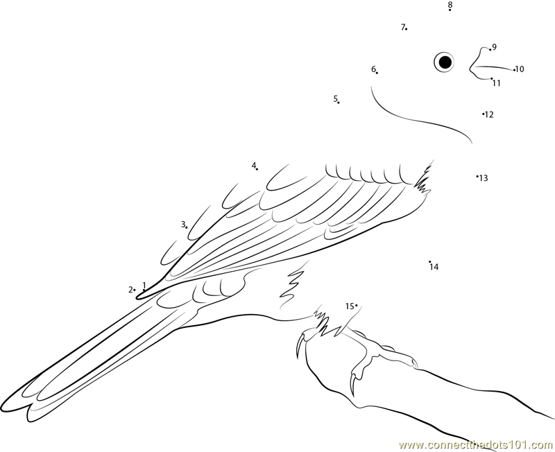 yellowhammer bird coloring pages - photo #35